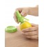 Handheld Citrus Spray Set